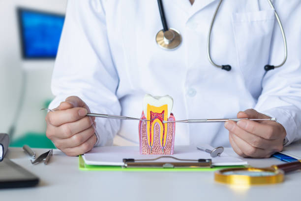 Best Same-Day Emergency Dentist in Fountainhead Orchard Hills, MD